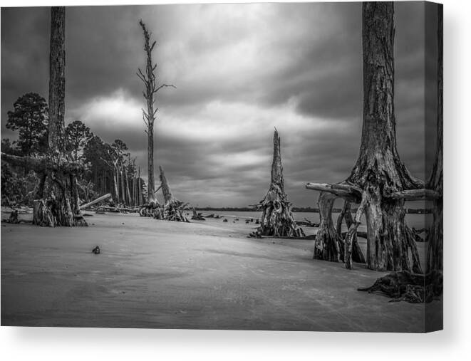 Coast Canvas Print featuring the photograph Ghosts of Giants above the Sand - BW by Chris Bordeleau