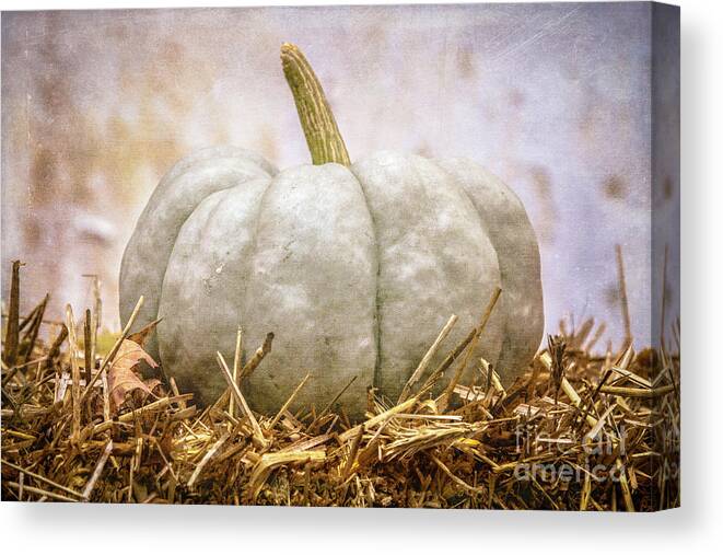 Pumpkin Canvas Print featuring the photograph Ghost Pumpkin by Eleanor Abramson