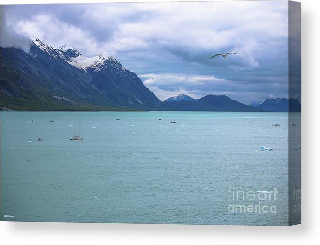 Glacier Bay National Park Canvas Print featuring the photograph Glacier Bay Alaska Two by Veronica Batterson