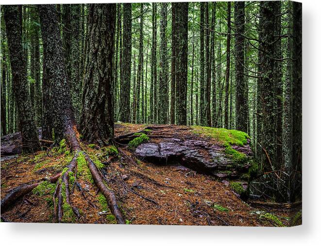 Art Canvas Print featuring the photograph Glacier Green by Gary Migues