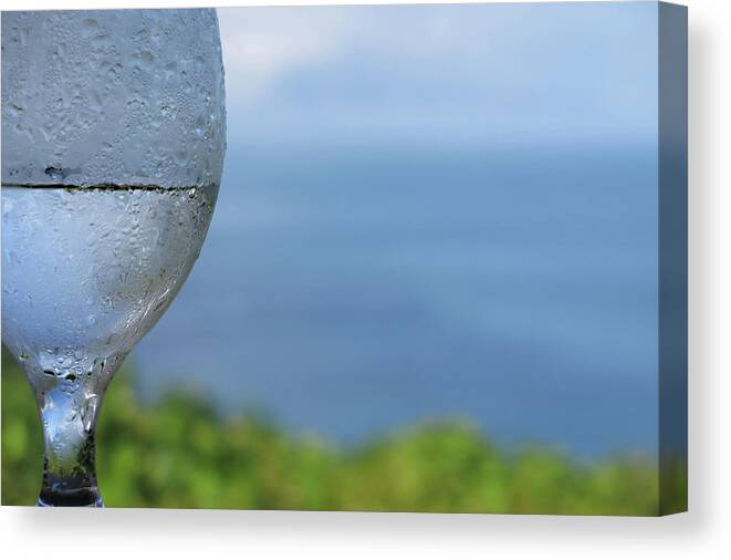 Glass Canvas Print featuring the photograph Glass Half Full by JoAnn Lense