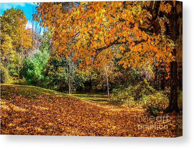 Autumn Canvas Print featuring the photograph Glimpses of autumn by Claudia M Photography