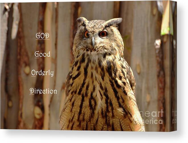 Owl Canvas Print featuring the photograph God Equals Owl by Debby Pueschel