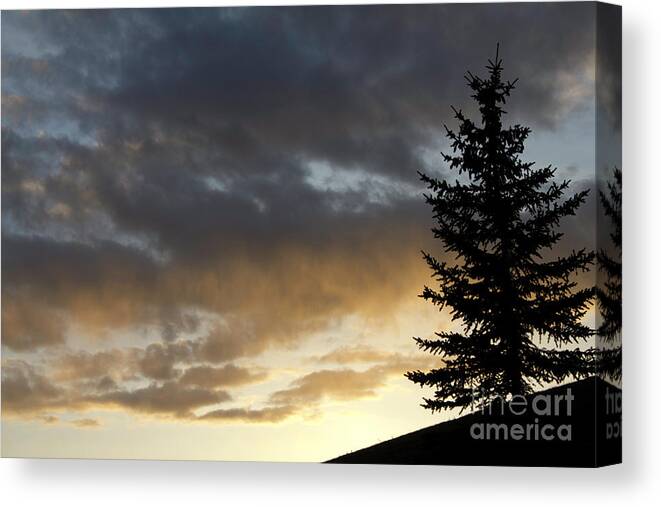 Landscape Canvas Print featuring the photograph Gold Sunset and Tree by Donna L Munro