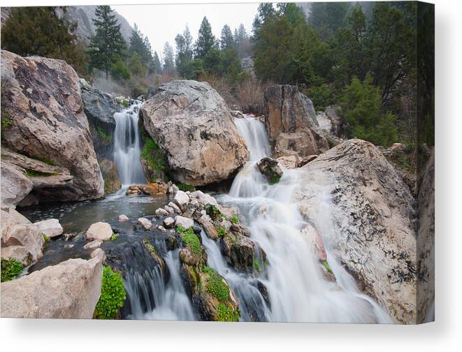 Hot Springs Canvas Print featuring the photograph Goldbug Hot Springs by Jedediah Hohf