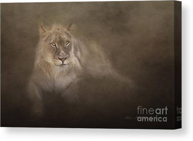 Lioness Canvas Print featuring the photograph Golden Eyes by Linda Blair