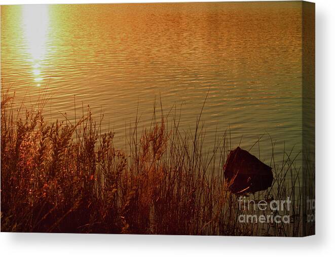 Golden Canvas Print featuring the photograph Golden Light by James BO Insogna