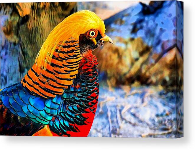 Golden Pheasant Canvas Print featuring the digital art Golden Pheasant Painterly by Lilia S