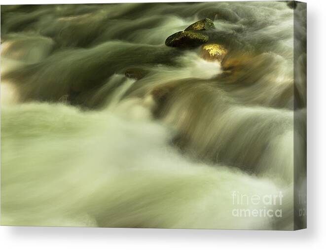 River Canvas Print featuring the photograph Golden River by Mike Eingle