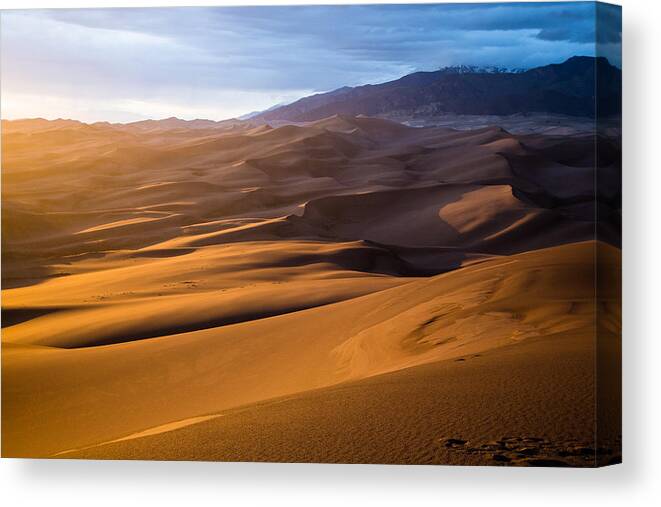 Colorado Canvas Print featuring the photograph Golden Sunset in the Dunes by Adam Pender