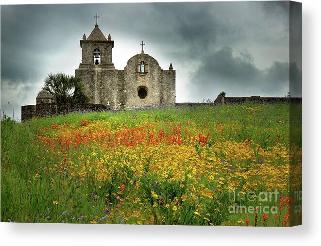 Landscape Canvas Print featuring the photograph Goliad in Spring by Jon Holiday