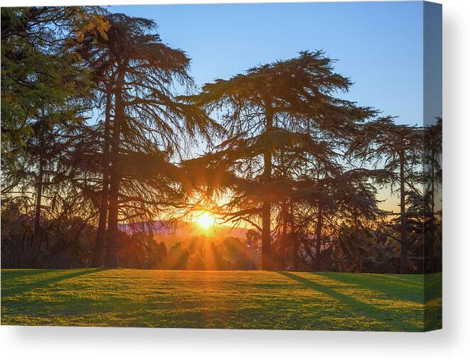 Sunrise Canvas Print featuring the photograph A Very Good Morning Balboa Park by Joseph S Giacalone