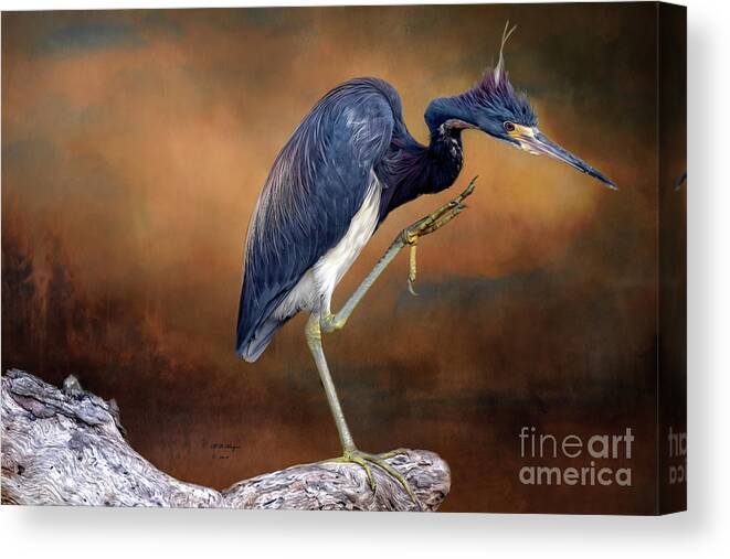 Birds Canvas Print featuring the photograph Gotta Scratch That Itch by DB Hayes