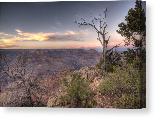Grand Canyon Canvas Print featuring the photograph Grand Canyon 991 by Michael Fryd