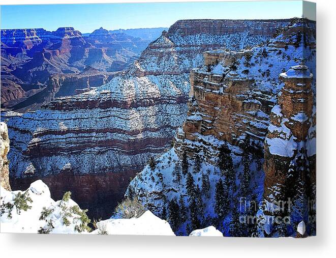 Grand Canyon Canvas Print featuring the photograph Grand Canyon National Park In Winter by Jenny Revitz Soper
