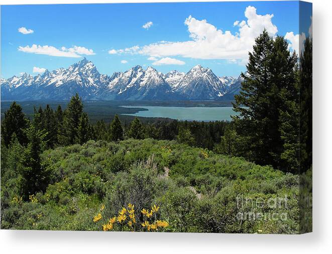 Grand Tetons Canvas Print featuring the photograph Grand Tetons by Jemmy Archer