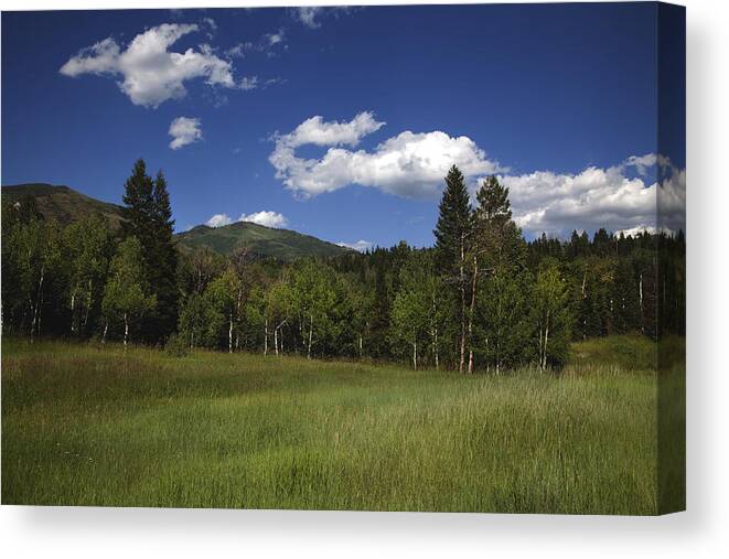 Wyoming Canvas Print featuring the photograph Grand Tweton National Park by Mark Smith