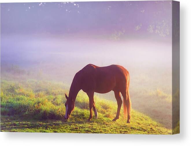 Jenny Rainbow Fine Art Photography Canvas Print featuring the photograph Grazing Horse. Rural Holland by Jenny Rainbow