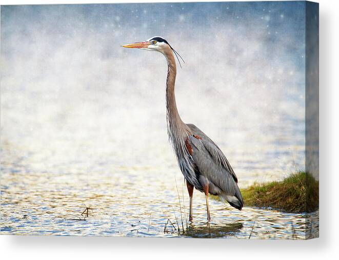 Bird Canvas Print featuring the photograph Great Blue Heron by Bill and Linda Tiepelman