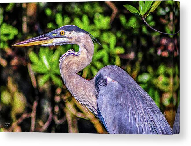 Nature Canvas Print featuring the painting Great Blue Heron by DB Hayes