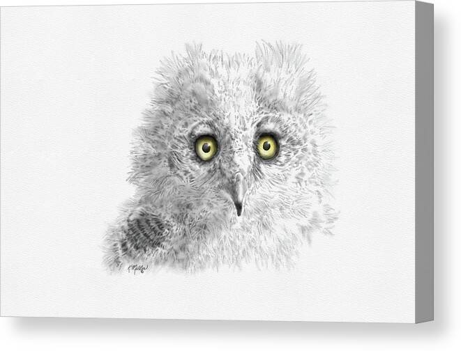 Owl Canvas Print featuring the digital art Great Horned Owlet by Kathie Miller