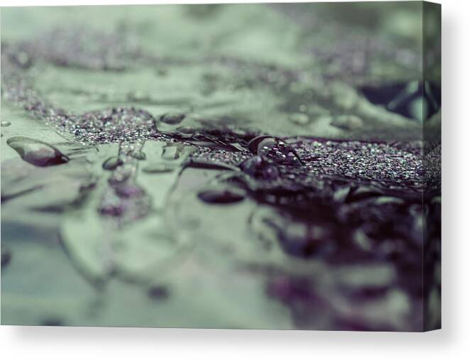 Green And Purple Abstract Canvas Print featuring the photograph Green and Purple Abstract by Tracy Winter