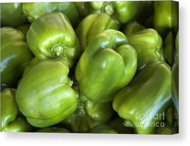Sweet Bell Peppers Canvas Print featuring the photograph Green Bell Peppers by Inga Spence
