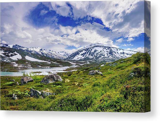 Europe Canvas Print featuring the photograph Green carpet under the cotton sky by Dmytro Korol