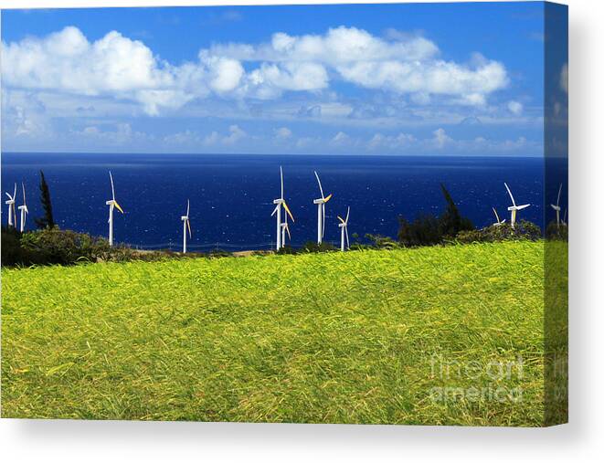 Alternative Canvas Print featuring the photograph Green Energy by James Eddy