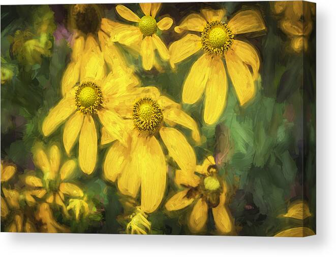 Echinacea Canvas Print featuring the photograph Green Headed Coneflowers Painted by Rich Franco