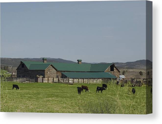 Green Roof Canvas Print featuring the photograph Green Roof by Sara Stevenson