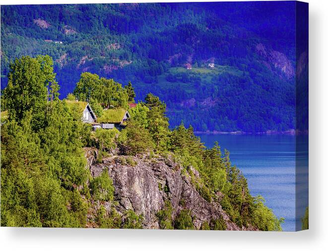 Europe Canvas Print featuring the photograph Green roofs of Lustrafjorden by Dmytro Korol