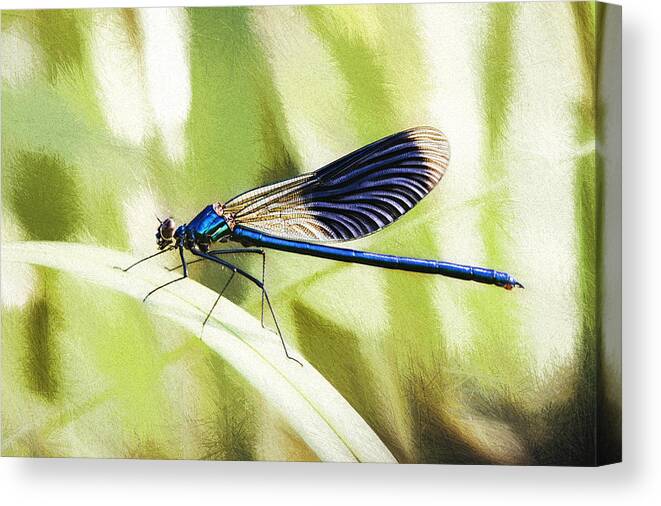 Dragonfly Canvas Print featuring the photograph Green Story by Jaroslav Buna