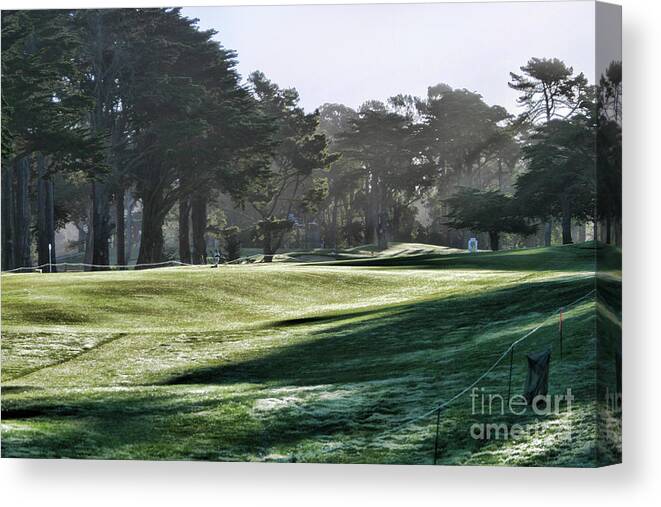 Tiger Canvas Print featuring the photograph Greens Golf Harding Park San Francisco by Chuck Kuhn