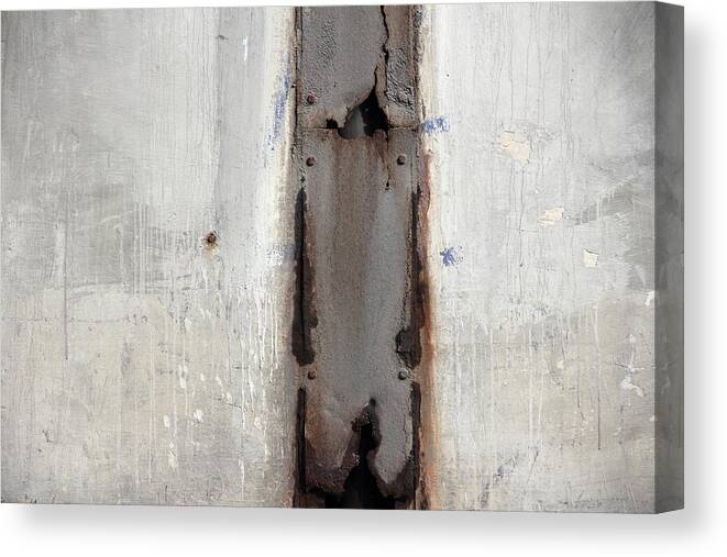 Grey Canvas Print featuring the photograph Grey Stripe by Kreddible Trout