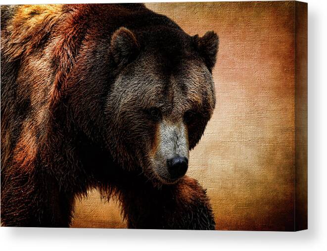 Grizzly Bear Canvas Print featuring the photograph Grizzly Bear by Judy Vincent