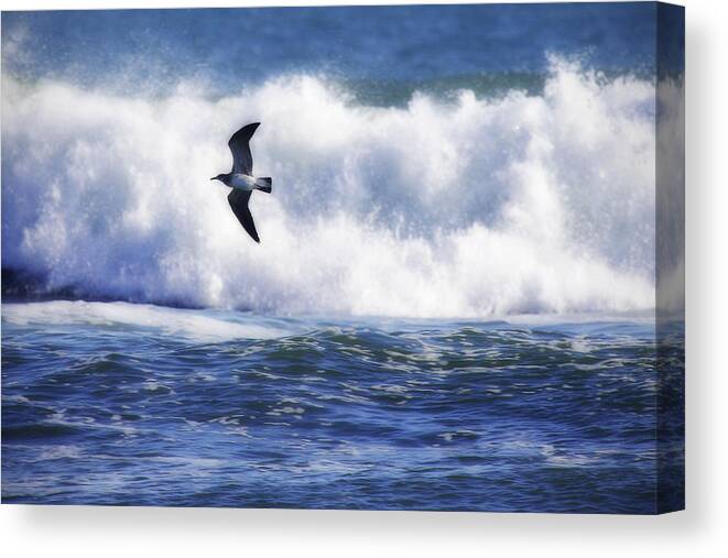 Photo Canvas Print featuring the photograph Gull in the Waves by Alan Hausenflock