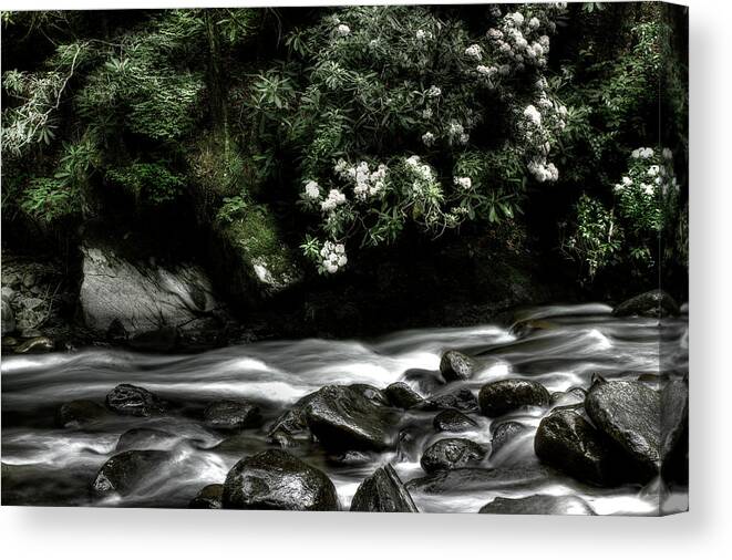 Quiet River Scene Canvas Print featuring the photograph Half And Half by Mike Eingle