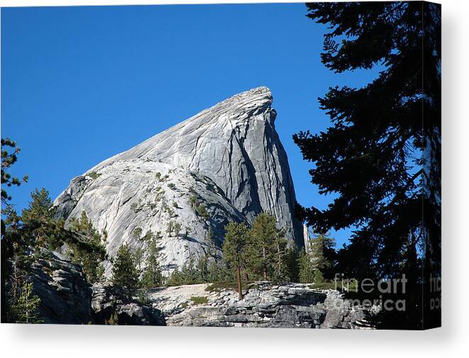 Yosemite Canvas Print featuring the photograph Half Dome at Yosemite 6 by Micah May