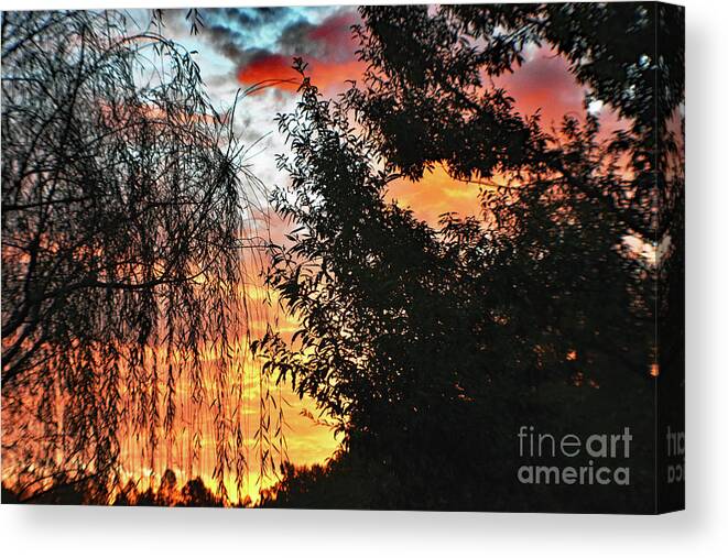 Nature Canvas Print featuring the photograph Halloween Sunrise 2015 by DB Hayes