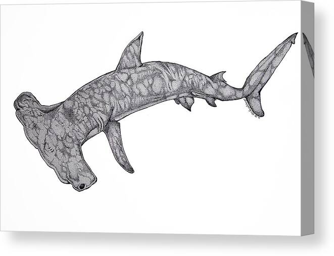 Hammer Head Shark Art Canvas Print featuring the drawing Hammer Head Shark by Nick Gustafson