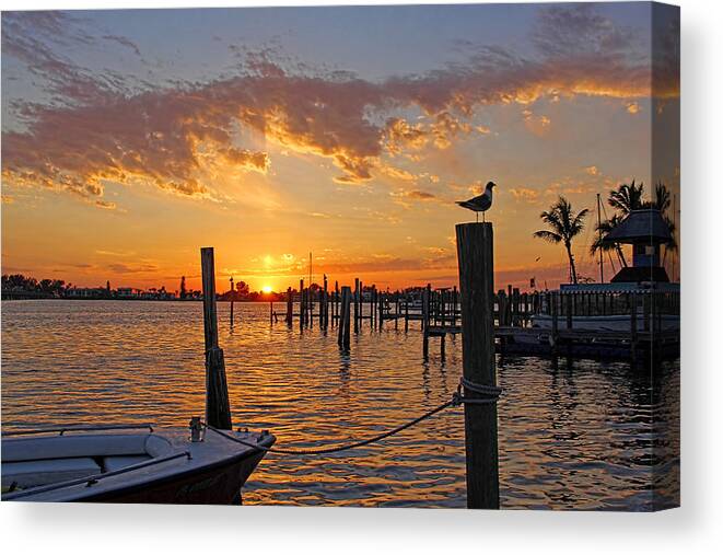 Cortez Florida Canvas Print featuring the photograph Harbor Patrol by HH Photography of Florida