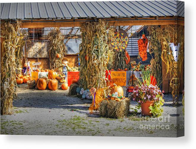 Autumn Canvas Print featuring the photograph Harvest Days by David Birchall