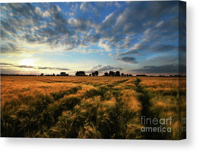 Harvest Canvas Print featuring the photograph Harvest by Franziskus Pfleghart