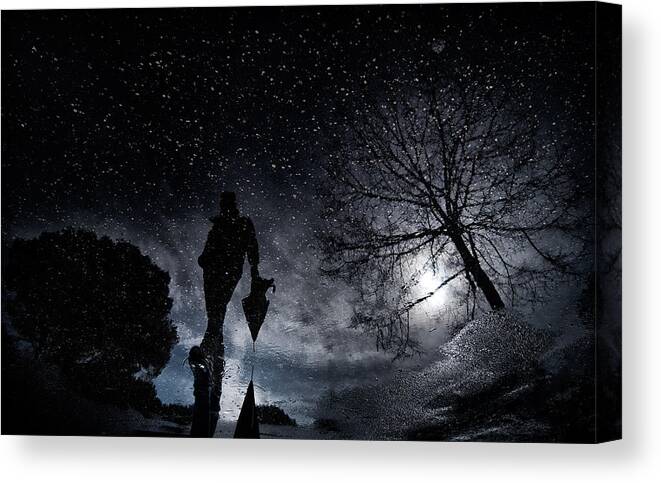 Tree Canvas Print featuring the photograph Has Finally Stopped Raining... by Antonio Grambone
