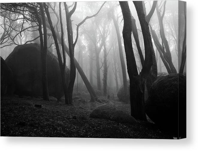 Jorgemaiaphotographer Canvas Print featuring the photograph Haunted woods by Jorge Maia