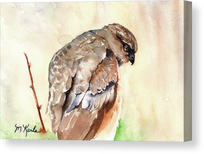 Bird Canvas Print featuring the painting Hawk by Marsha Karle