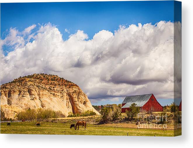Western Canvas Print featuring the photograph Head West Young Man by James BO Insogna