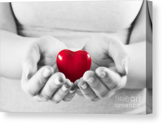 Heart Canvas Print featuring the photograph Heart in woman hands by Michal Bednarek