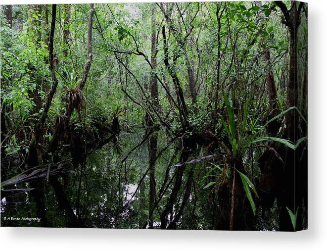 Swamp Canvas Print featuring the photograph Heart of the Swamp by Barbara Bowen